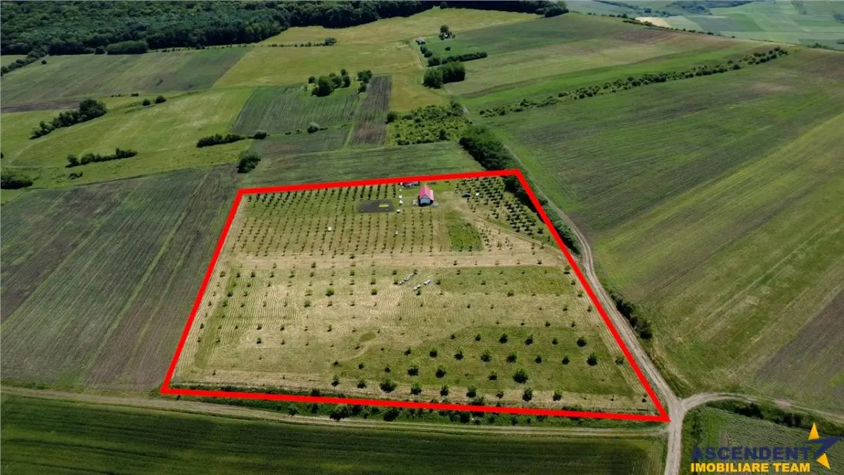 Afacere la cheie, dar si refugiu intr -o oaza de liniste in peisaj pitoresc: 25.624 mp compacte/Moisa, Mures - foto 5