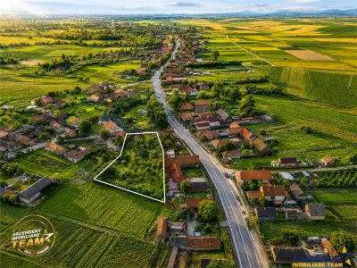 FILM! Casa personalizabila +2.700mp teren,pomi fructiferi,langa Sfantu Gheorghe: Santionlunca - foto 3