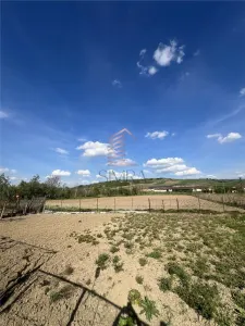Casa cu teren de 2300 mp in Almasul Mare Bihor - foto 5