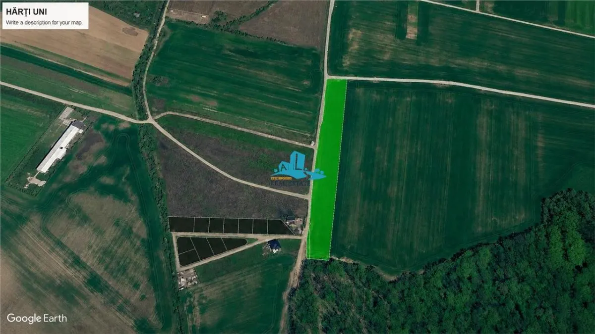 Vanzare teren 10.000 mp, Snagov - Ciolpani, padure, utilitati - foto 1