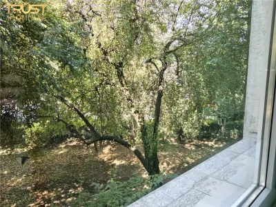 2 Camere l Gheorgheni l 48 MP l Balcon - foto 5