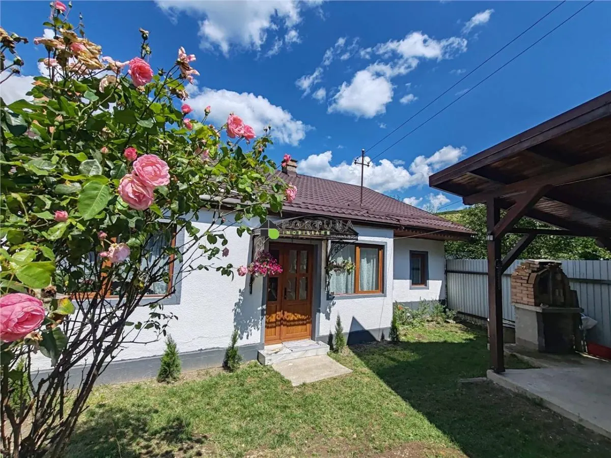 Casa Zizin , 221 mp teren , renovata - foto 1