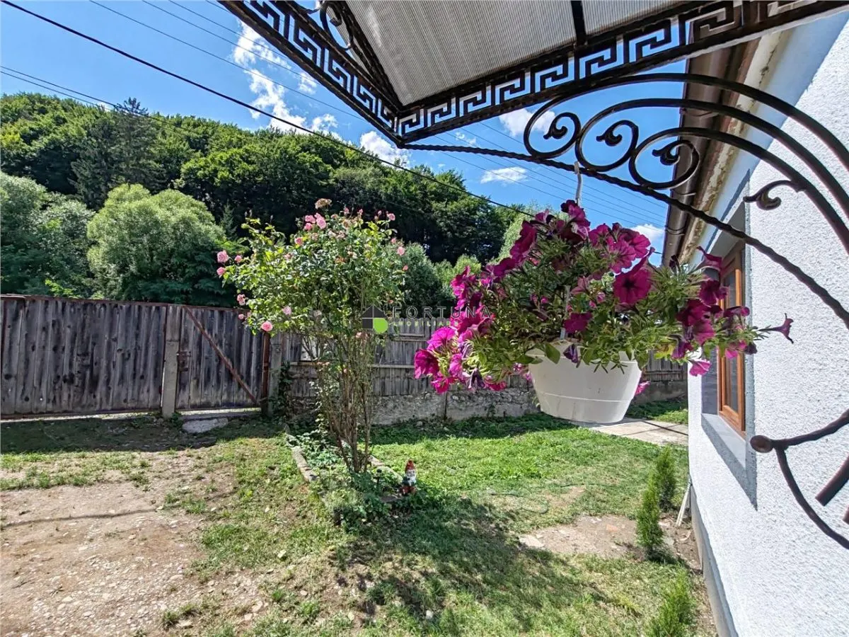Casa Zizin , 221 mp teren , renovata - foto 12
