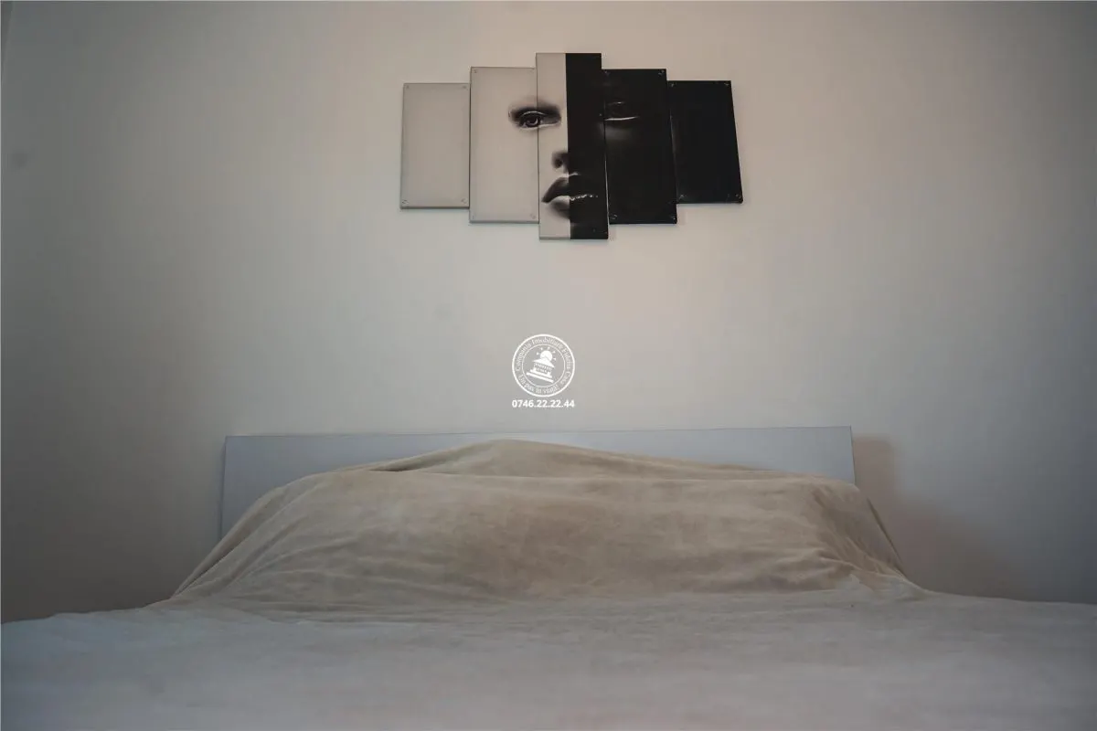 Apartament cu 2 camere de vanzare in Tudor Vladimirescu - foto 17