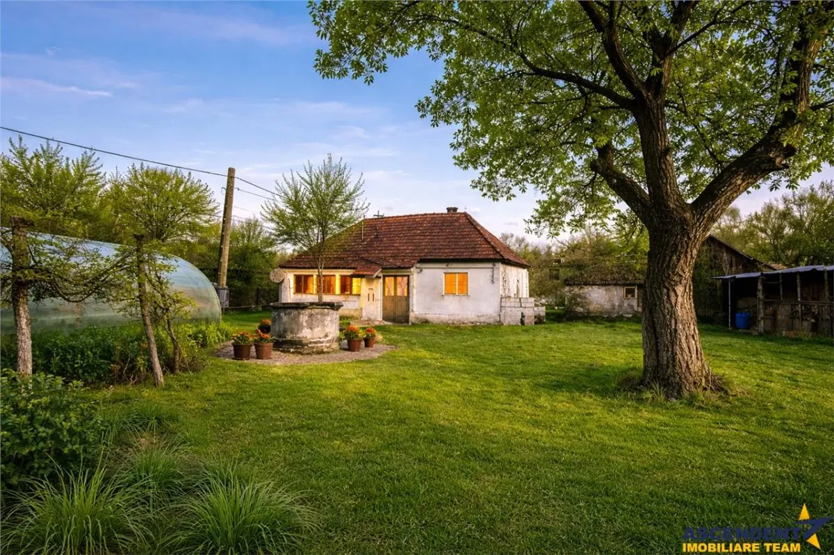 FILM! Casa cu sura, pivnita, balta cu pesti, 2.280 mp teren roditor, Lemnia, Covasna - foto 1