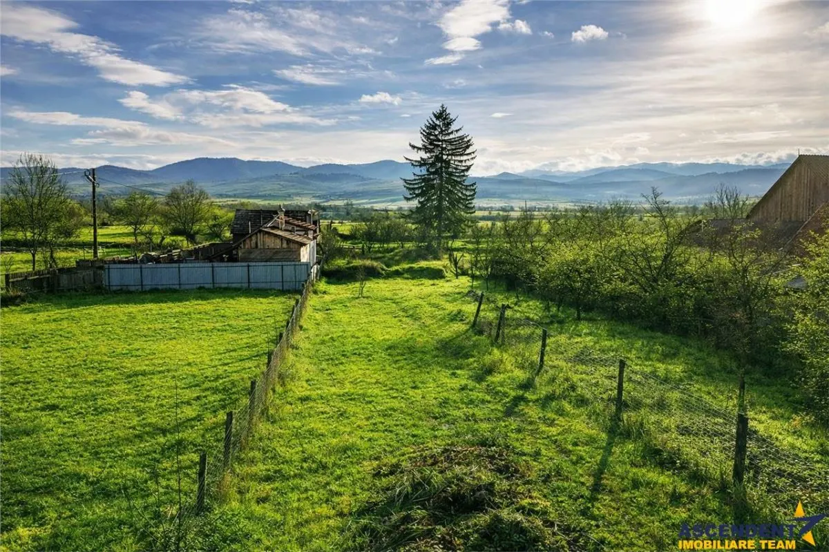 FILM! Casa cu sura, pivnita, balta cu pesti, 2.280 mp teren roditor, Lemnia, Covasna - foto 3