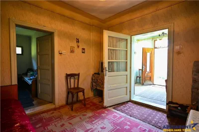 FILM! Proprietate autentica, Bran-Simon, 4.300 mp teren, casa traditionala + anexe - foto 11