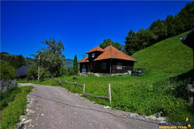FILM! Proprietate autentica, Bran-Simon, 4.300 mp teren, casa traditionala + anexe - foto 17