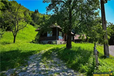 FILM! Proprietate autentica, Bran-Simon, 4.300 mp teren, casa traditionala + anexe - foto 18