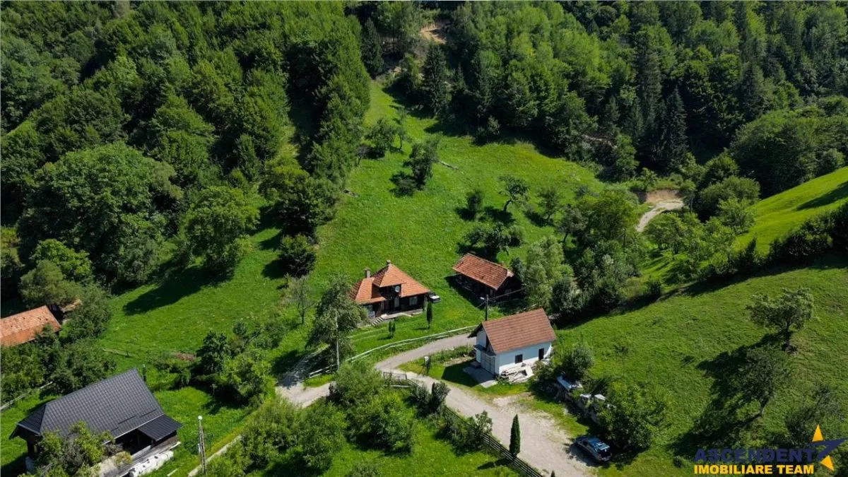 FILM! Proprietate autentica, Bran-Simon, 4.300 mp teren, casa traditionala + anexe - foto 19