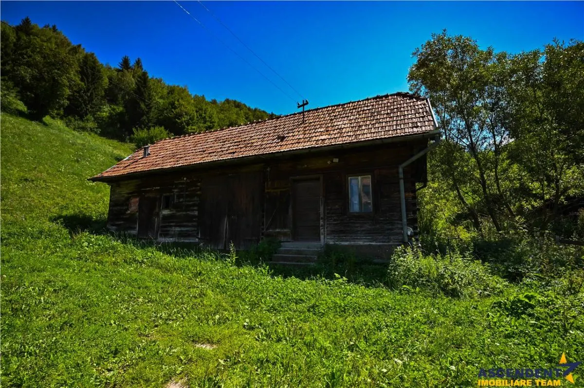 FILM! Proprietate autentica, Bran-Simon, 4.300 mp teren, casa traditionala + anexe - foto 23