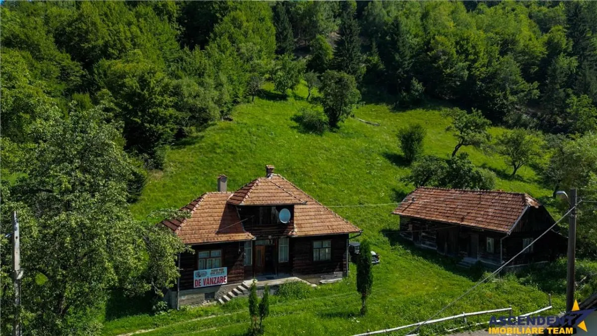 FILM! Proprietate autentica, Bran-Simon, 4.300 mp teren, casa traditionala + anexe - foto 24