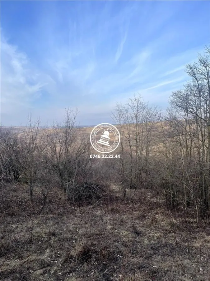 Teren pentru constructii case  de vanzare Iasi, Breazu, - foto 4