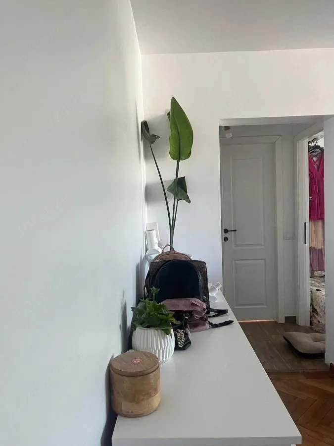 Apartament 3 camere - 62 mp -  Central | Podu-Roș - parcare inclusă în preț - 650â‚¬ - foto 3