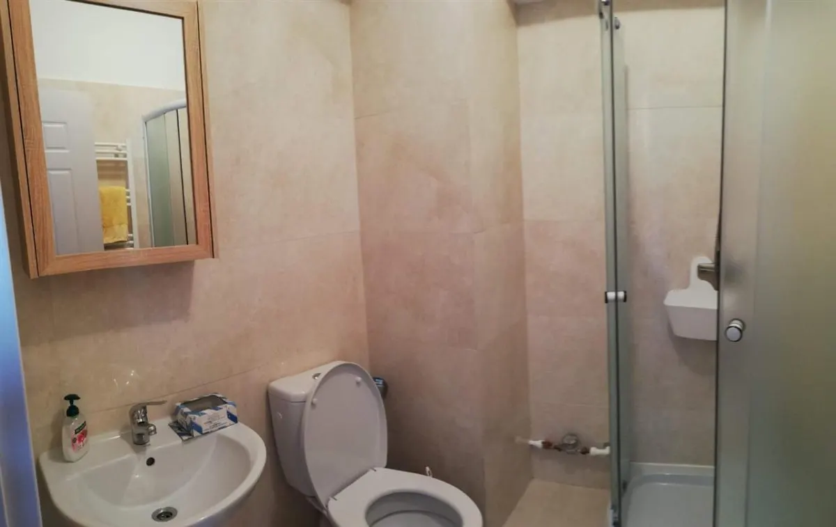 Apartament 1 Cameră,  Lângă Palas Campus, Centru - foto 6