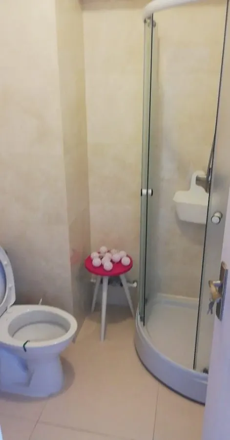 Apartament 1 Cameră,  Lângă Palas Campus, Centru - foto 7