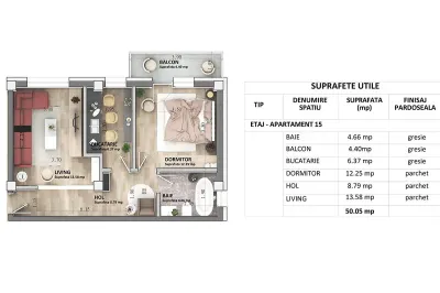Capat CUG Apartament 2 camere  D  50 mp  ASTORIA Lunca Cetatuii - foto 3