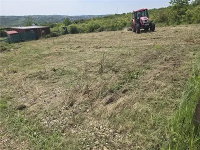 RECO Teren Saldabagiu de Munte, Aviz de oportunitate - foto 5