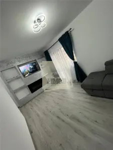 Apartament de lux cu 2 camere si gradina pe Doamna Stanca - foto 3