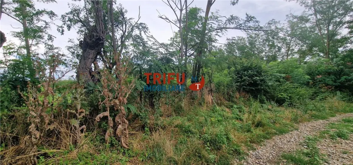 Teren intravilan de vânzare în Straja â€“ ideal pentru casă de vacanță sau investiție turistică - foto 3