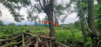Teren intravilan de vânzare în Straja â€“ ideal pentru casă de vacanță sau investiție turistică - foto 4