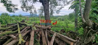 Teren intravilan de vânzare în Straja â€“ ideal pentru casă de vacanță sau investiție turistică - foto 5