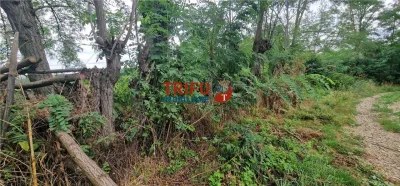 Teren intravilan de vânzare în Straja â€“ ideal pentru casă de vacanță sau investiție turistică - foto 6