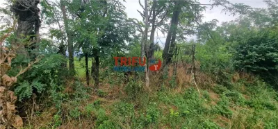 Teren intravilan de vânzare în Straja â€“ ideal pentru casă de vacanță sau investiție turistică - foto 7