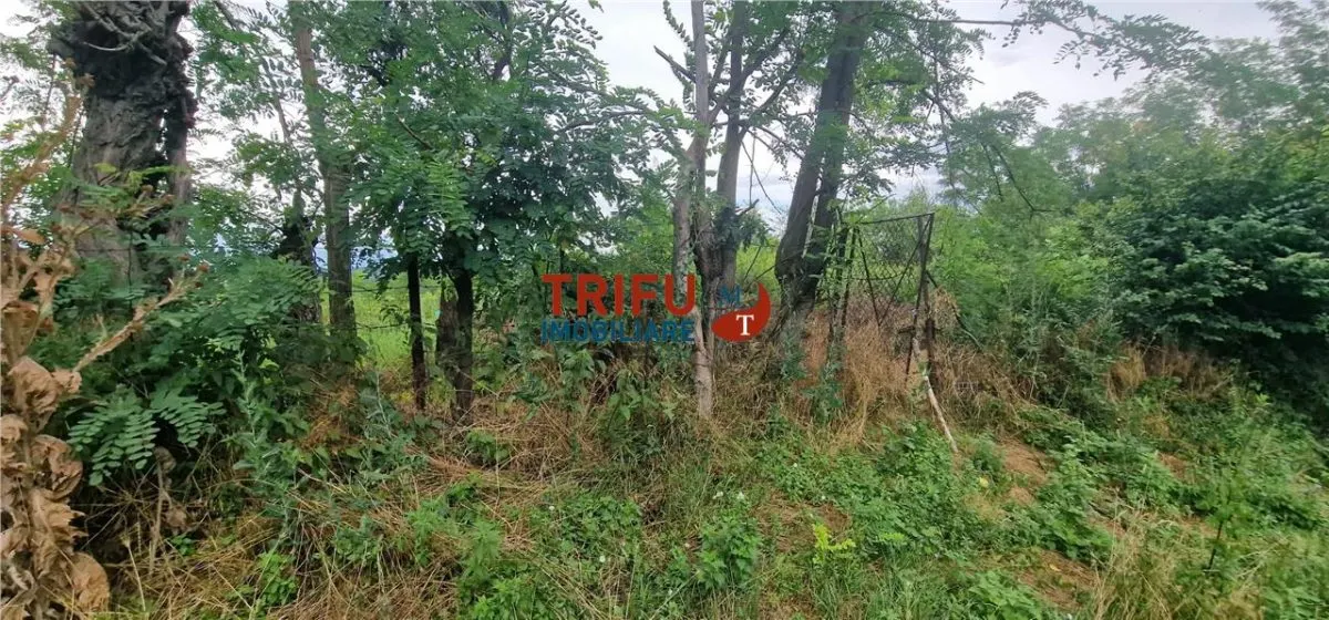 Teren intravilan de vânzare în Straja â€“ ideal pentru casă de vacanță sau investiție turistică - foto 7