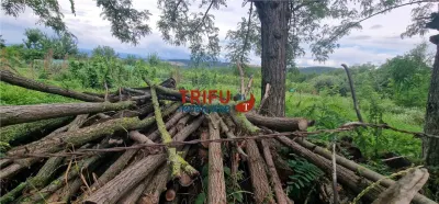 Teren intravilan de vânzare în Straja â€“ ideal pentru casă de vacanță sau investiție turistică - foto 8