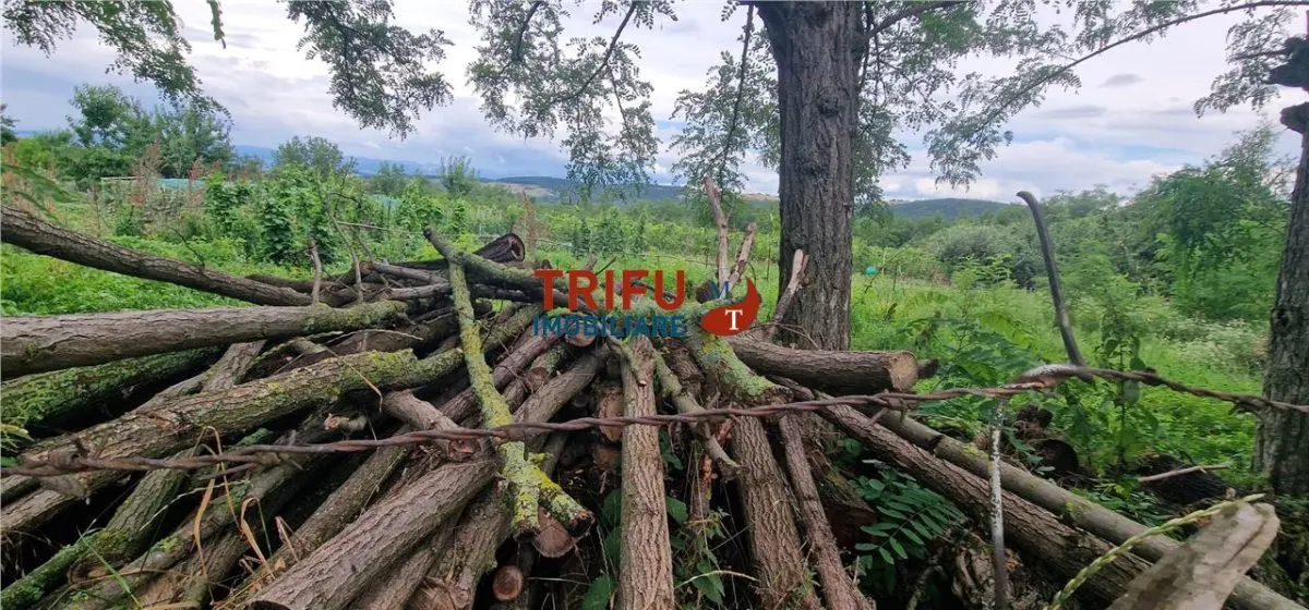 Teren intravilan de vânzare în Straja â€“ ideal pentru casă de vacanță sau investiție turistică - foto 8