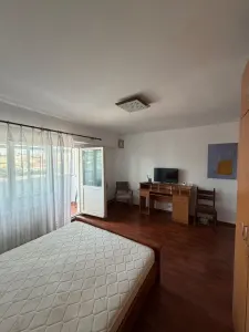 Apartament 1 camera Alexandru cel Bun - foto 6