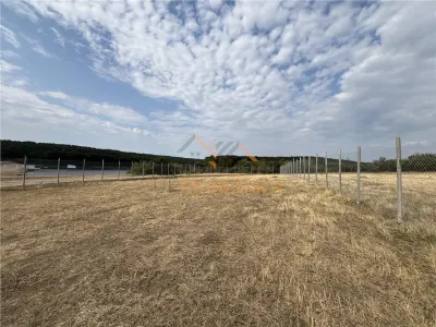 TEREN INVESTITIE | PANORAMA | 4.350 MP | SAUAIEU | BIHOR - foto 2
