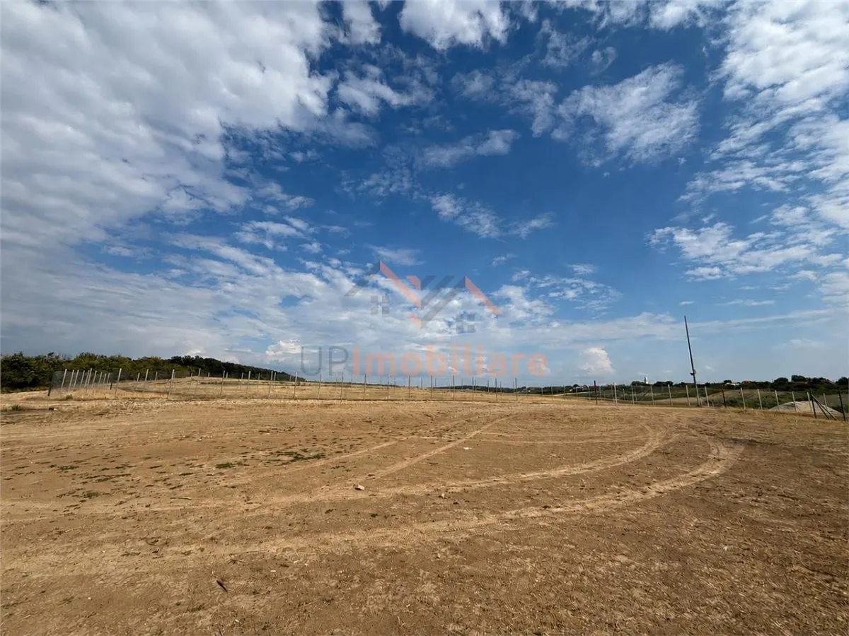 TEREN INVESTITIE | PANORAMA | 4.350 MP | SAUAIEU | BIHOR - foto 5