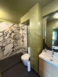 Apartament 2 camere + Birou | Floreasca | langa Parc Cinema Floreasca - foto 11