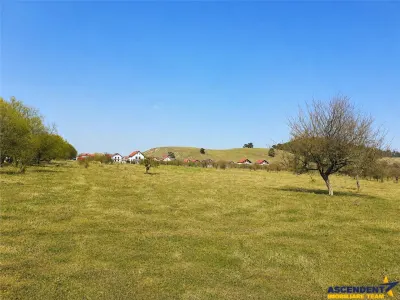 Segmentul investitional/ rezidential, teren intravilan, constructii, utilitati, Livada Sanpetru - foto 4