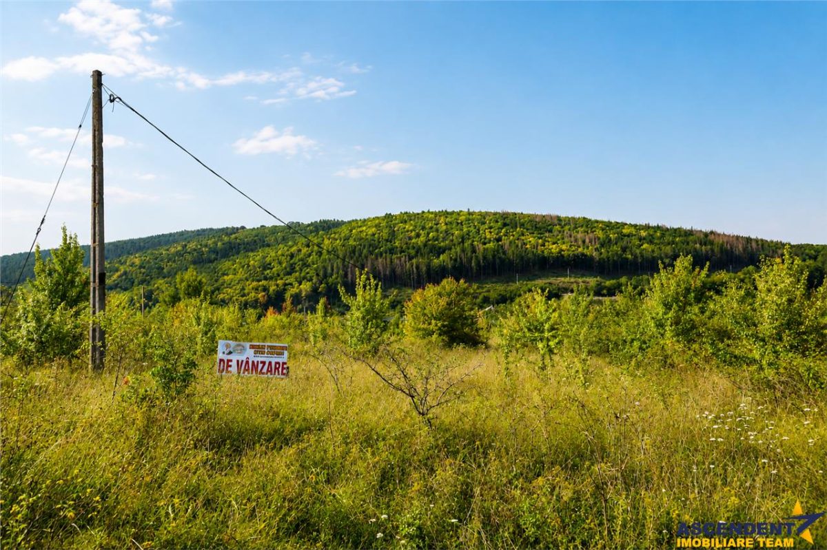 450mp intravilan, cu vedere spre lac, Moacsa, Covasna - foto 5