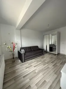 Proprietate Eleganta, Zona Bucium Plopii fara sot - foto 2