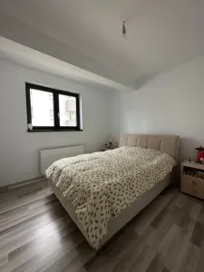 Proprietate Eleganta, Zona Bucium Plopii fara sot - foto 4