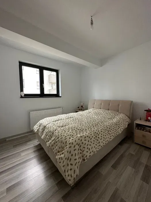 Proprietate Eleganta, Zona Bucium Plopii fara sot - foto 4