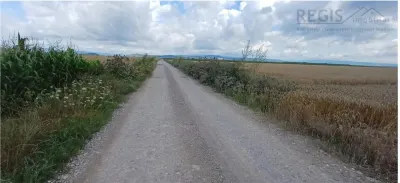 Teren pretabil exploatare balastiera Harman , parc industrial sau dezvoltare imobiliara - Harman