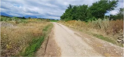 Teren pretabil exploatare balastiera Harman , parc industrial sau dezvoltare imobiliara - foto 8