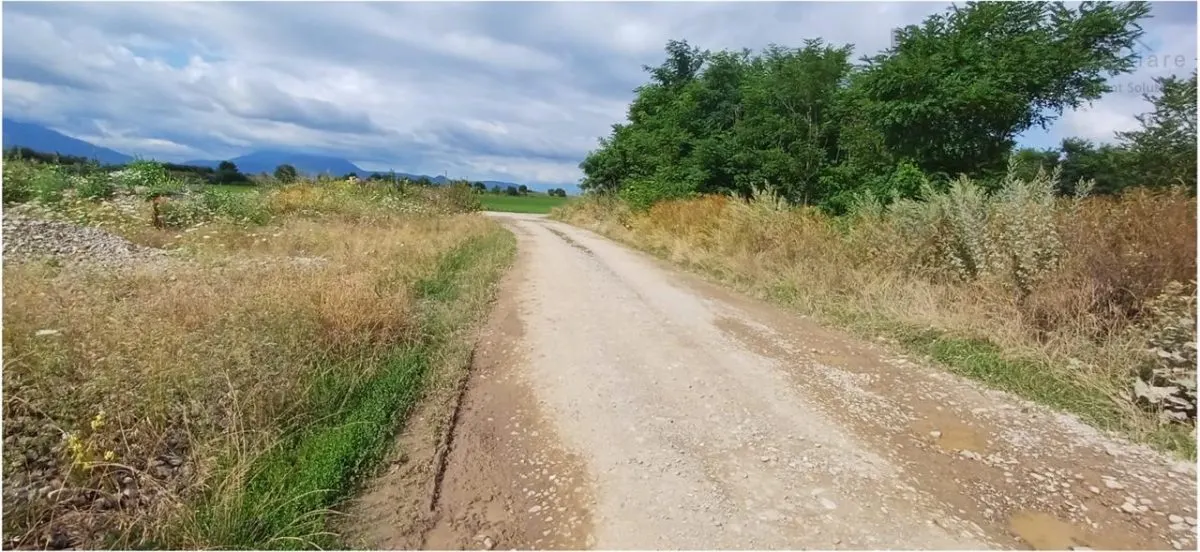 Teren pretabil exploatare balastiera Harman , parc industrial sau dezvoltare imobiliara - foto 8