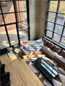 DUPLEX 4 CAMERE LUX FLOREASCA LAC - foto 2