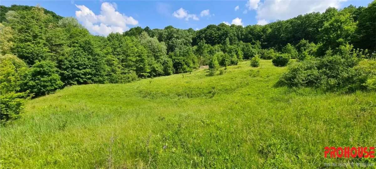 Teren 2033 mp- langa padure-  Margineni- Podis Dubas - foto 2