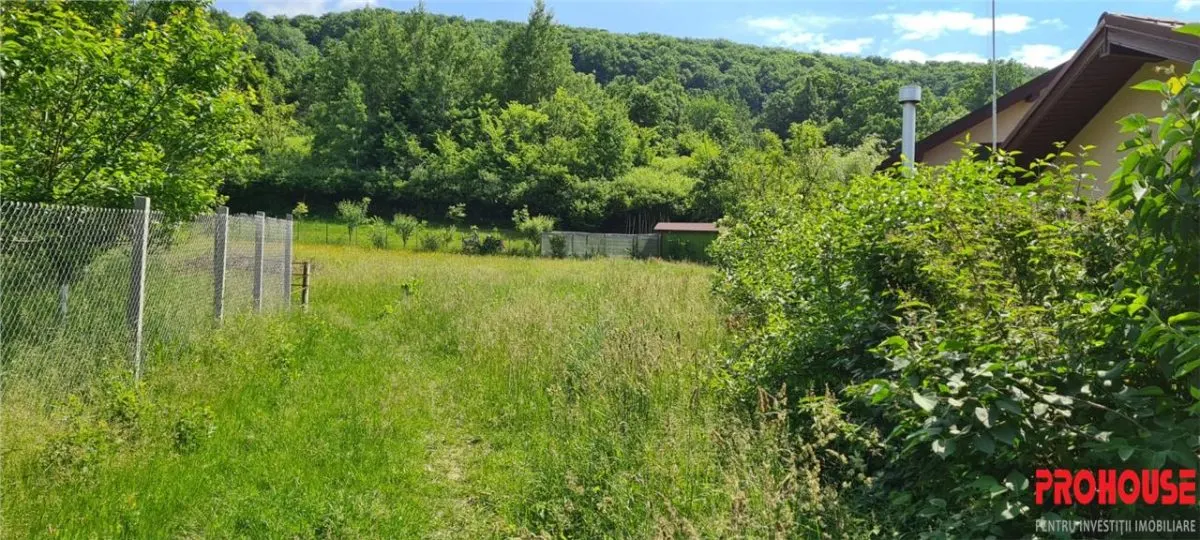 Teren 2033 mp- langa padure-  Margineni- Podis Dubas - foto 3