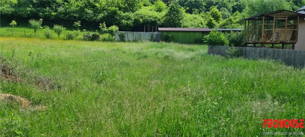 Teren 2033 mp- langa padure-  Margineni- Podis Dubas - foto 4