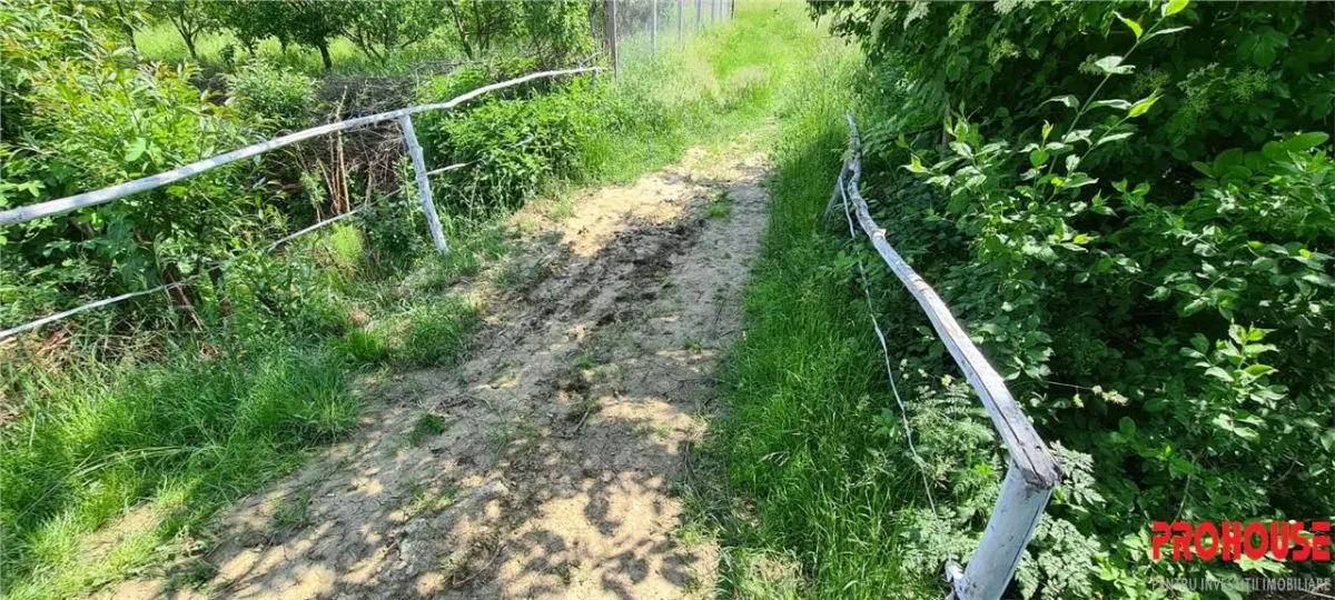 Teren 2033 mp- langa padure-  Margineni- Podis Dubas - foto 5