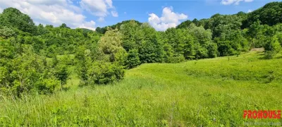 Teren 2033 mp- langa padure-  Margineni- Podis Dubas - foto 6