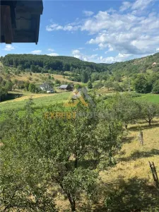 Casa si teren in Buteasa- Somcuta Mare la doar 55.000 euro negociabil - foto 21